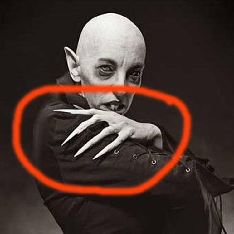 Ana Sillonnosferatu